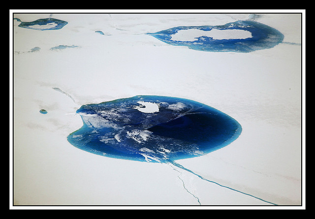 Frozen Planet Maret 2014 Lowongan Kerja 2014 Frozen Planet Maret 2014 Lowongan Kerja 2014